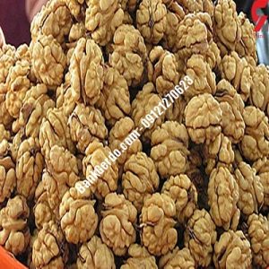 نهال گردو چندلر شنبه| نهالستان بزرگ کرج | 09121243597